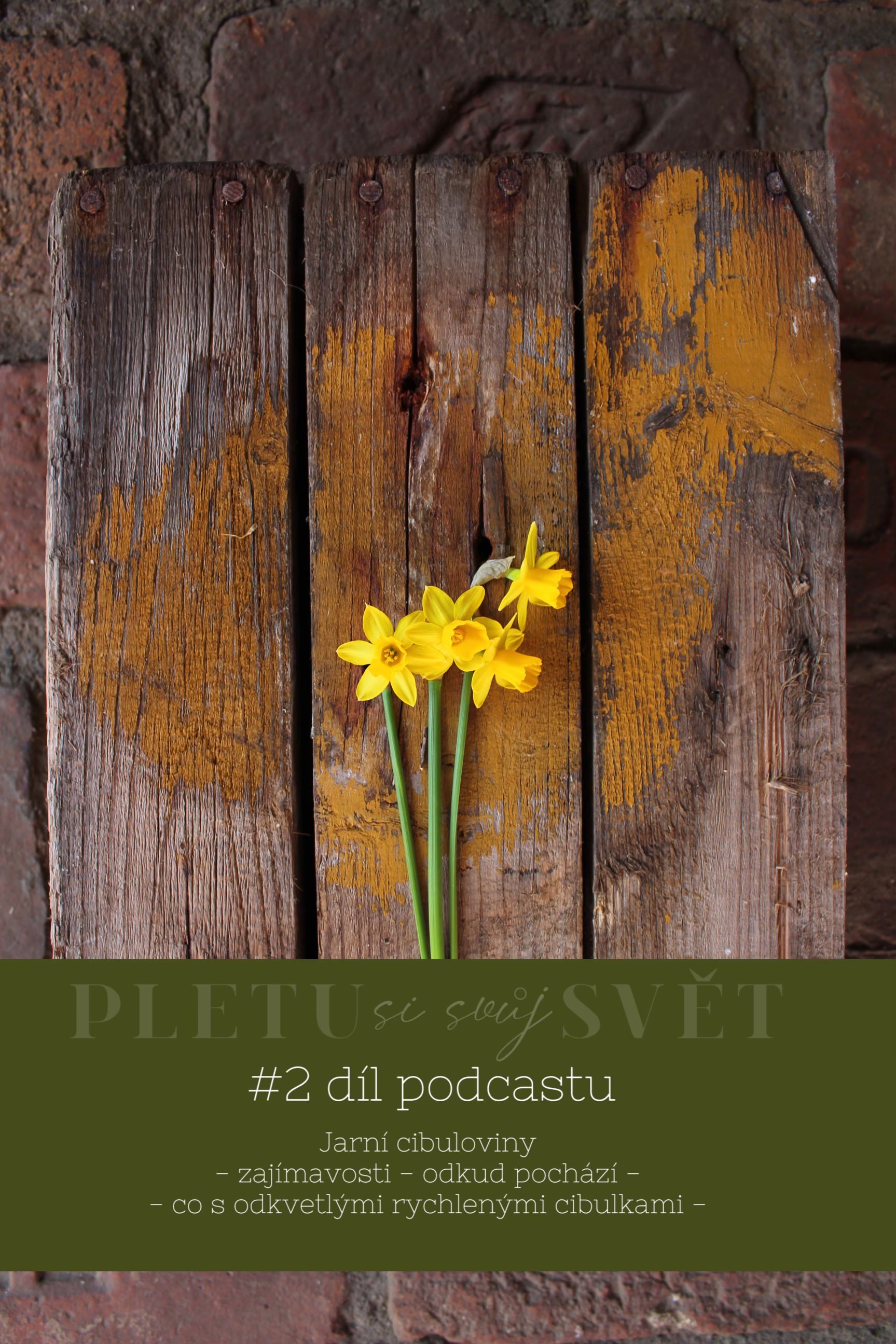 Zaznělo v podcastu