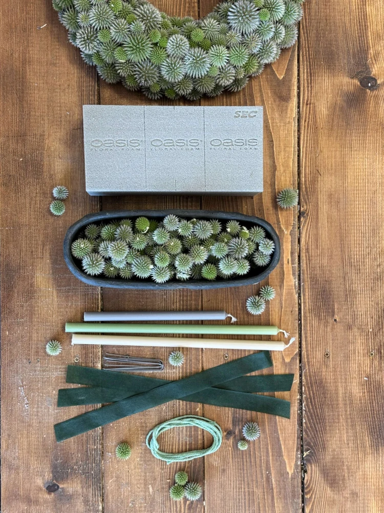DIY sada - Betonový svícen s bělotrnem | Vyrobte si sami