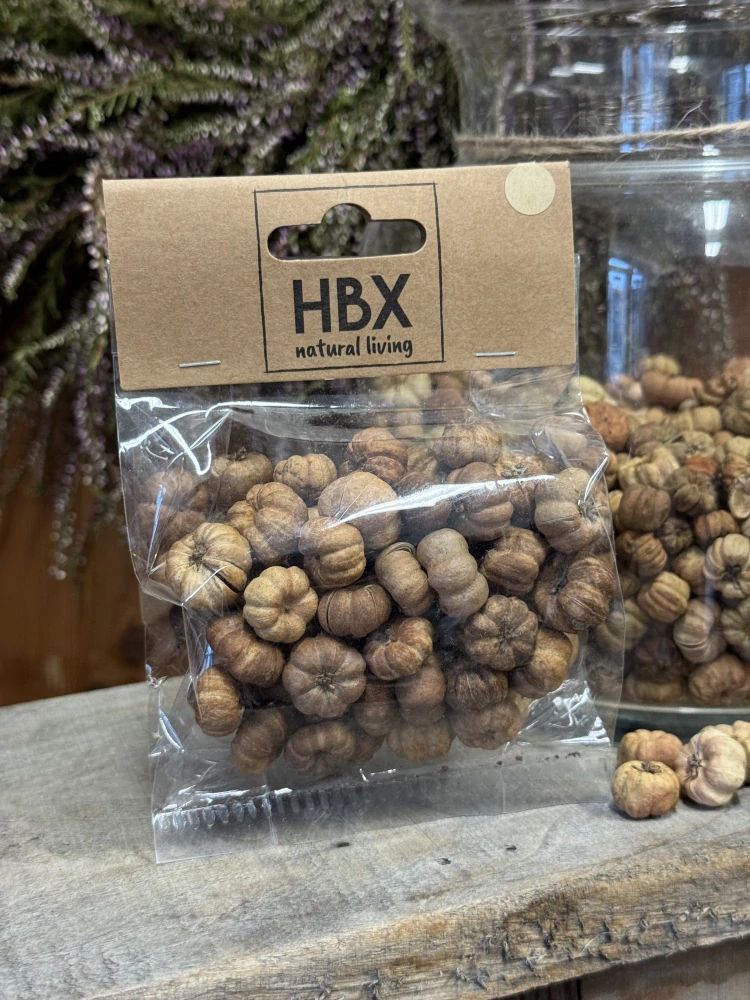 Sušené přírodní plody – mini dekorativní "dýničky", 20 g (natural)