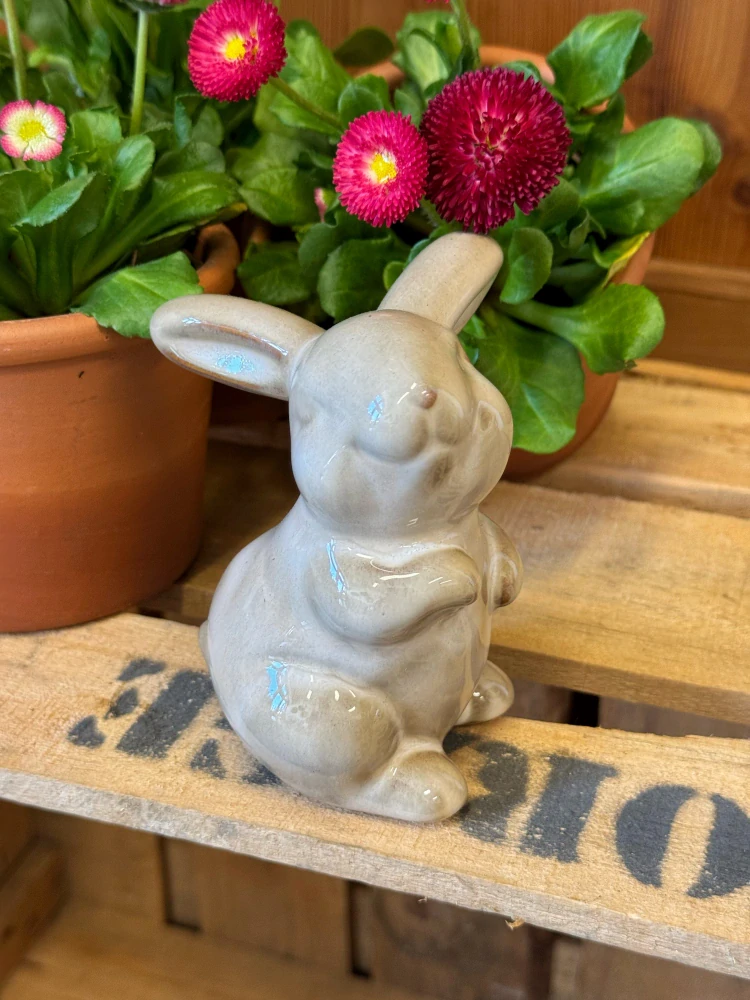 Porcelánový zajíc*