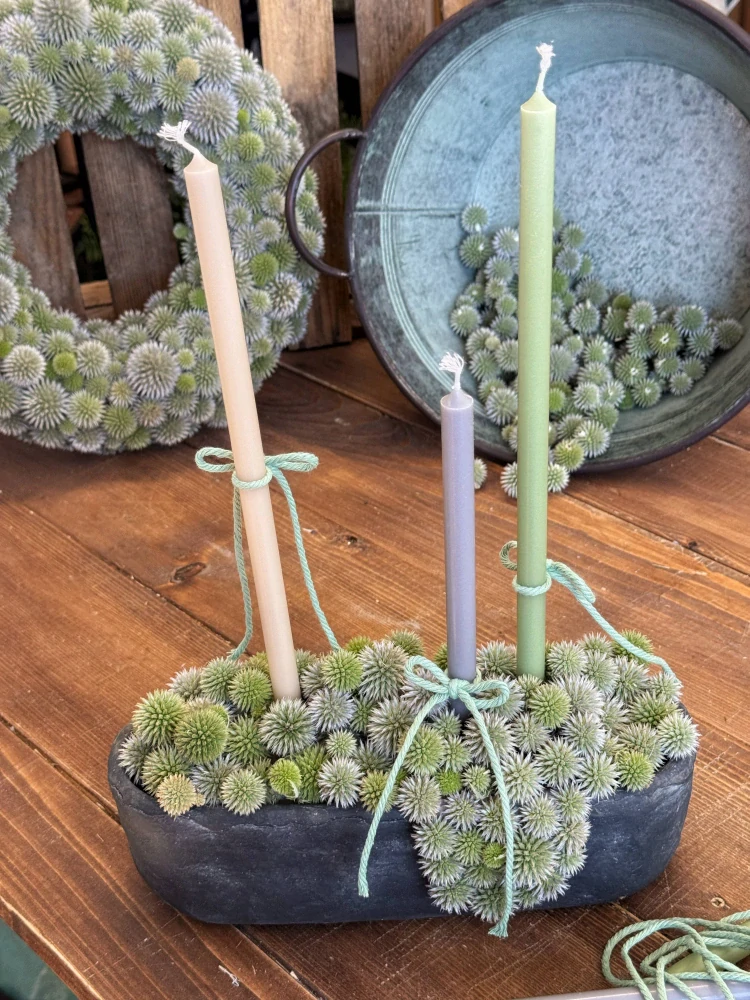 DIY sada - Betonový svícen s bělotrnem | Vyrobte si sami