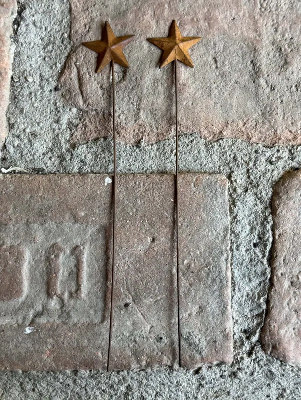ezavá hvězdička – zápich, 25 cm