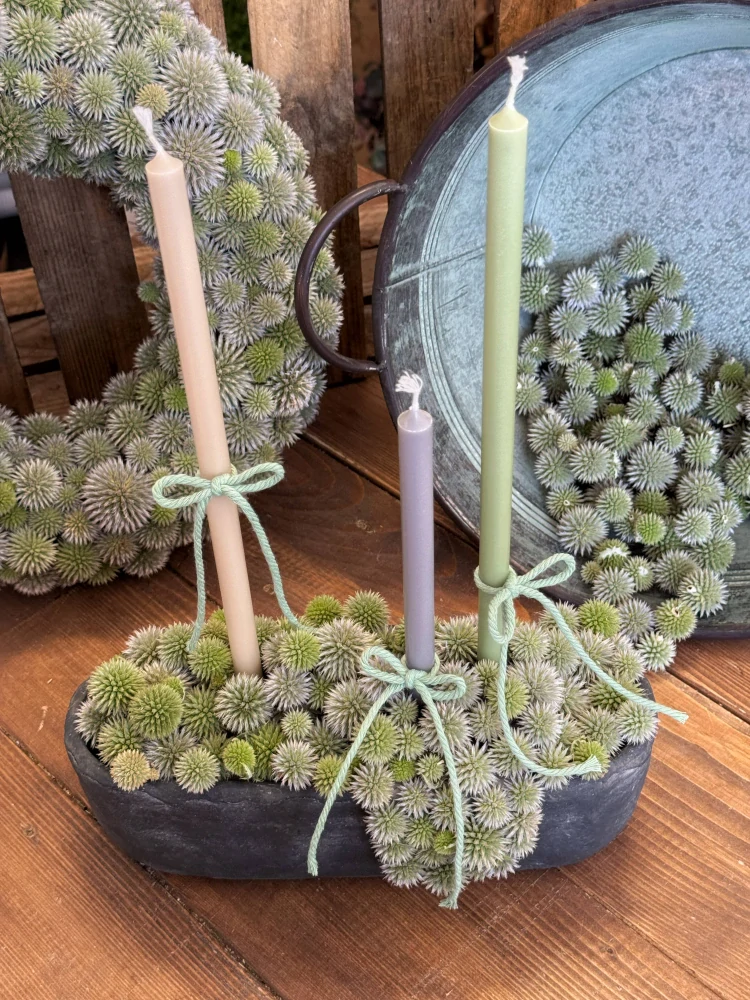 DIY sada - Betonový svícen s bělotrnem | Vyrobte si sami