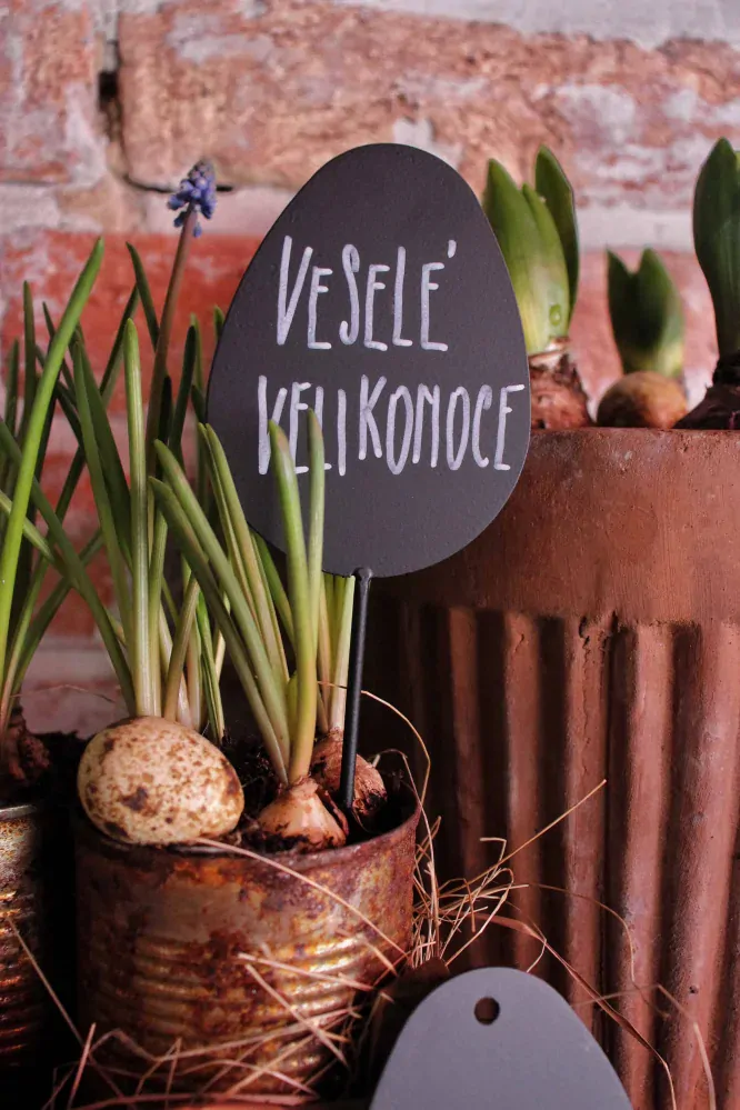 Cedulka - vejce 