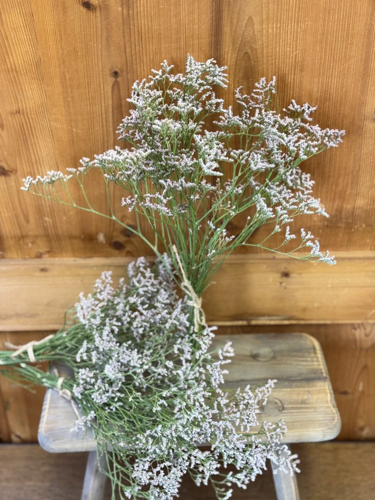 Růžová statice drobnokvětá sušená - svazek*