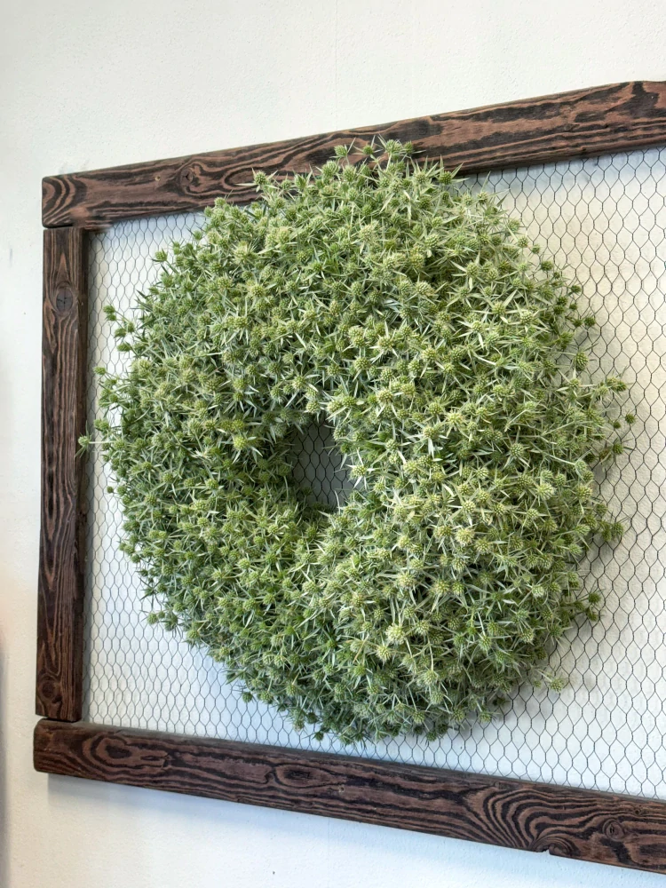 Věnec z máčky polní - 60 cm 