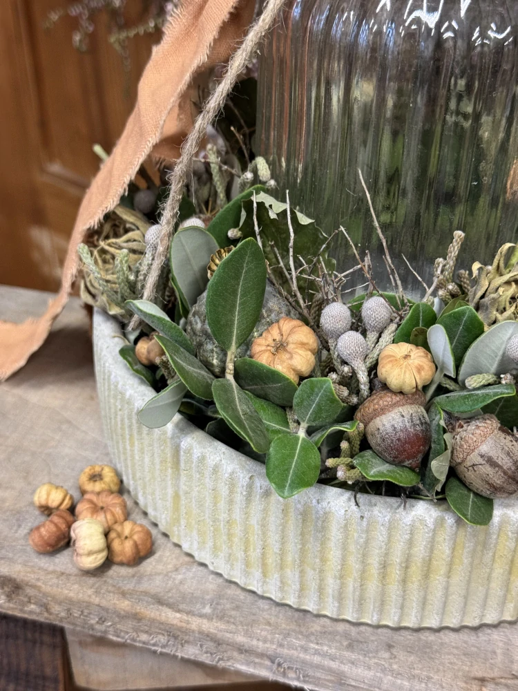 Sušené přírodní plody – mini dekorativní "dýničky", 20 g (natural)