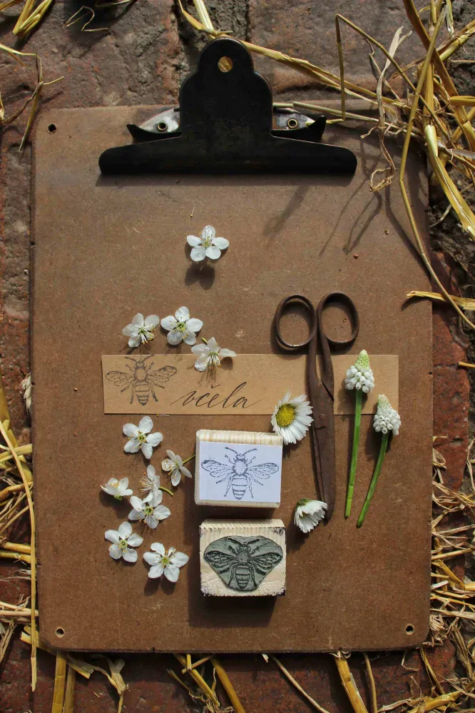 Jarní razítko - fauna
